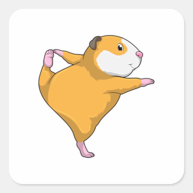 Guinea pig at Yoga Stretching exercise Square Sticker (Front)