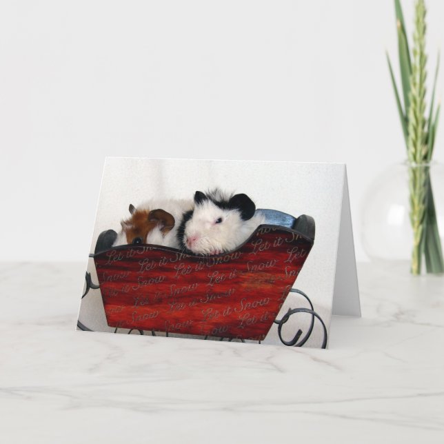 Guinea Pig Babies in a Red Sleigh Card (Front)