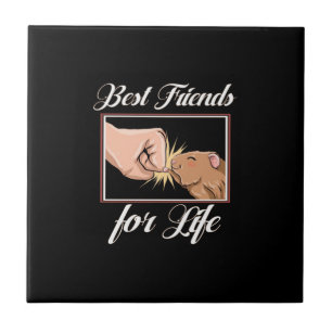 Guinea Pig Best Friends For Life   Cute Pet Lover Tile