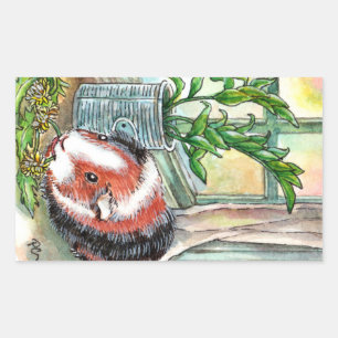 Guinea Pig by the Window Sticker
