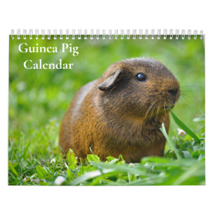 Guinea Pig Calendar 2027