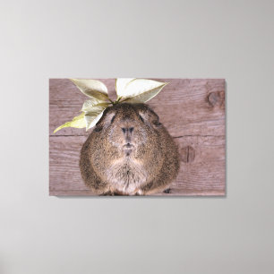 Guinea pig canvas print