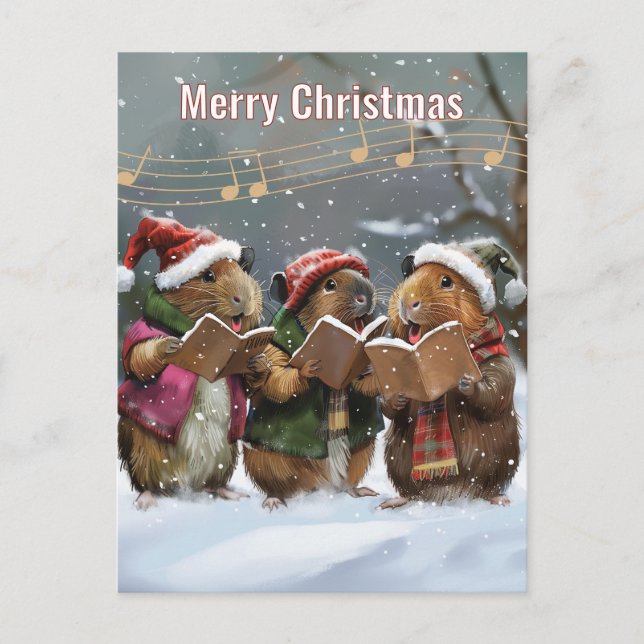 Guinea Pig Carol Singers Holiday Postcard (Front)