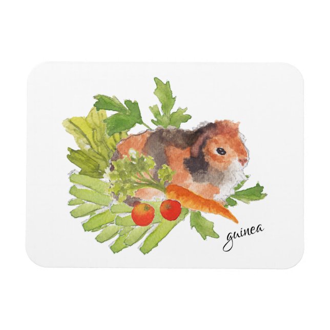 Guinea Pig Carrot Salad Watercolor Magnet (Horizontal)