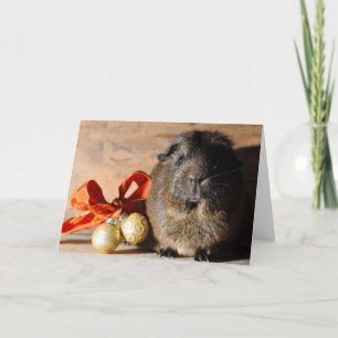 Guinea Pig Christmas Card