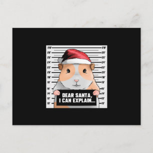 Guinea Pig Christmas Cavy Dear Santa I Can Explain Postcard