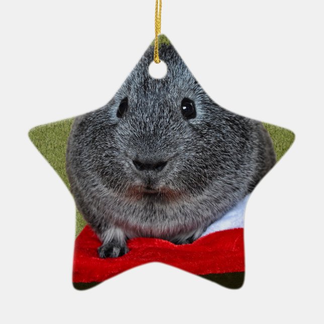 Guinea Pig Christmas Ceramic Ornament (Front)