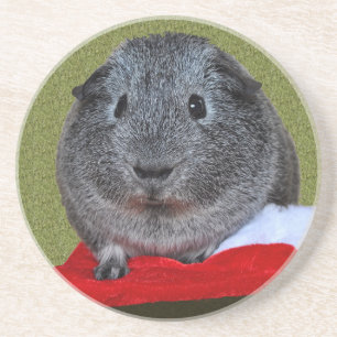 Guinea Pig Christmas Coaster