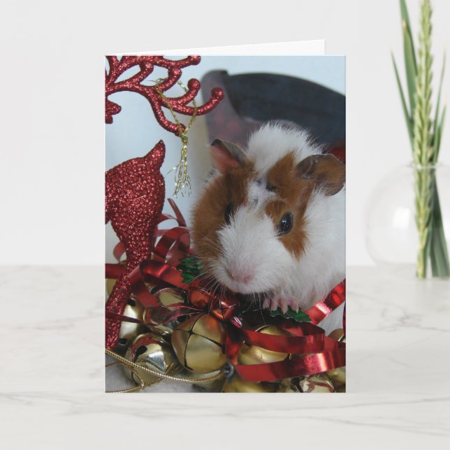 Guinea Pig Christmas Holiday Card (Front)