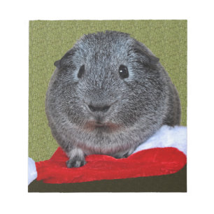 Guinea Pig Christmas Notepad