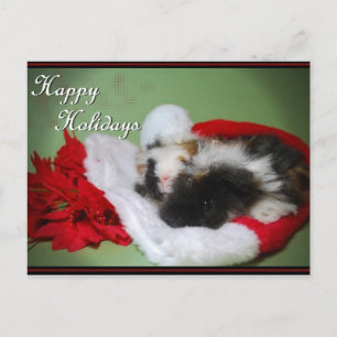 "Guinea Pig Christmas" Photo Card