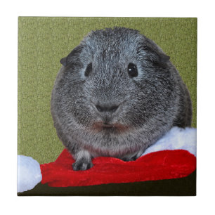 Guinea Pig Christmas Tile
