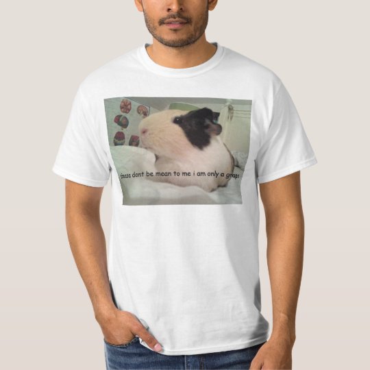Guinea Pig Comic Sans Fruit??? idk T-Shirt