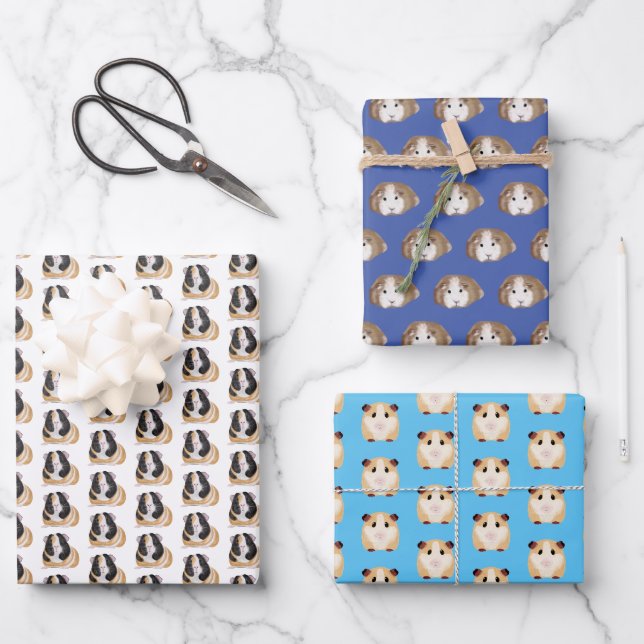 Guinea pig crazy guinea pig girl lady birthday wrapping paper sheet (Front)