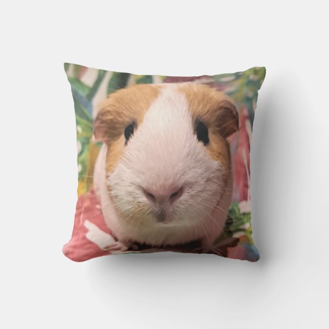 Guinea pig cushion (Front)