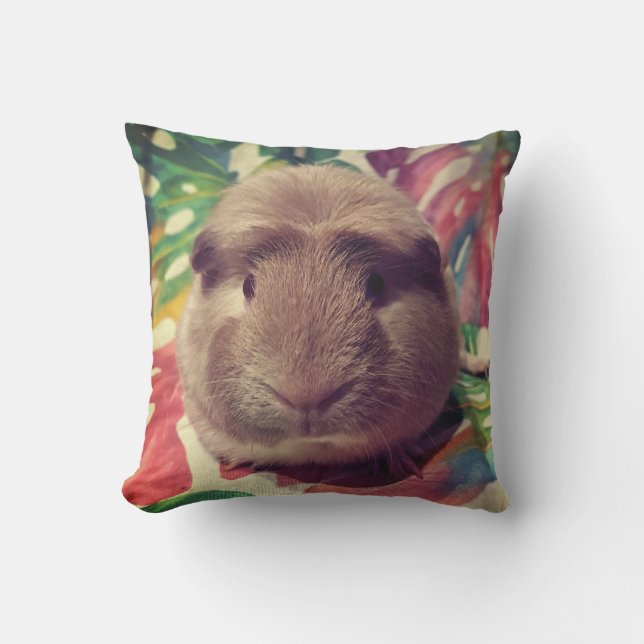 Guinea pig cushion- Chew Chew Outdoor Pillow (Front)