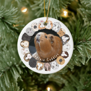 Guinea Pig Customizable  Ceramic Ornament