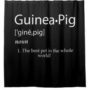 Guinea Pig Definition - Best Pet For Kids