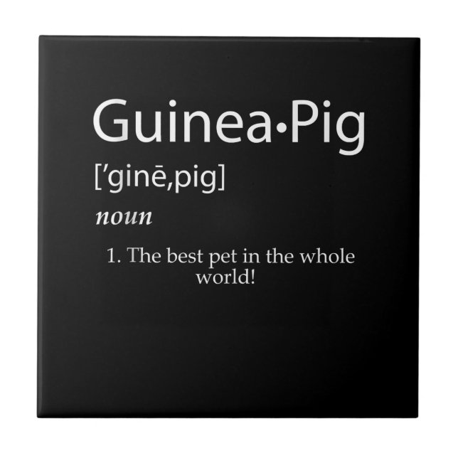 Guinea Pig Definition - Best Pet For Kids Tile (Front)