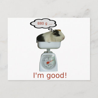 Guinea Pig Health Postcard