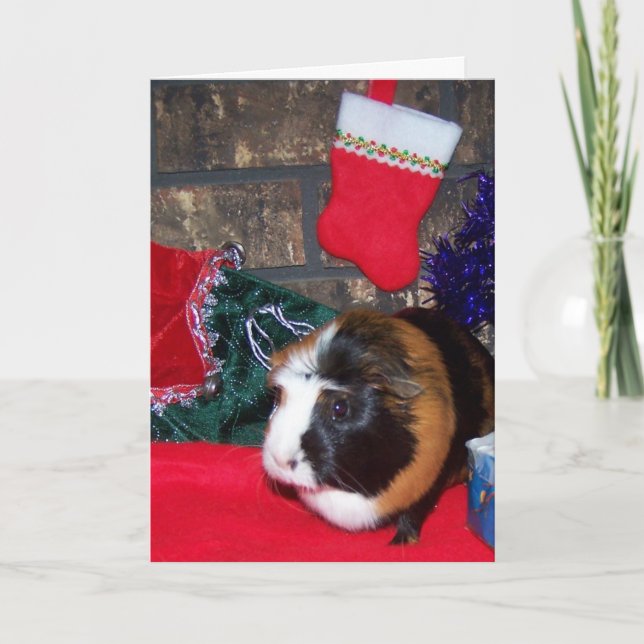 Guinea Pig Holiday Card (Front)