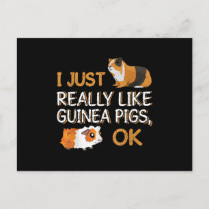 Guinea Pig I Just Really Like Guinea Pigs Ok Postcard