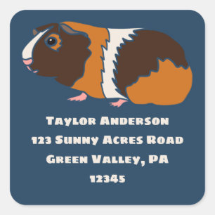 Guinea Pig Illustration Return Address Label