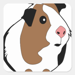 Guinea Pig Illustration Square Sticker