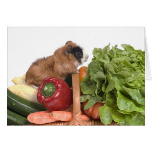 guinea pig in a basket of vegetables