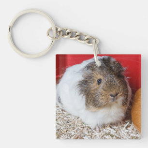 Guinea pig in a cage keychain