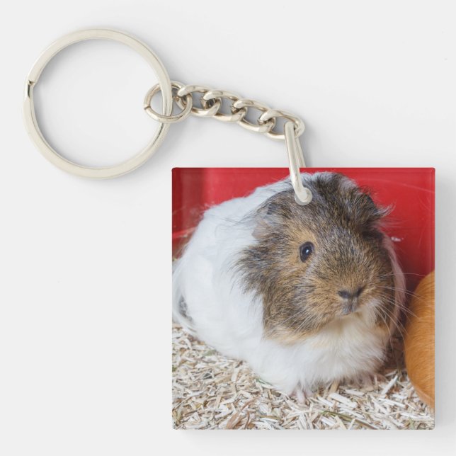 Guinea pig in a cage keychain (Front)