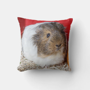 Guinea pig in a cage throw pillow