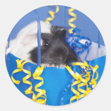 Guinea Pig in Party Bag Stickers