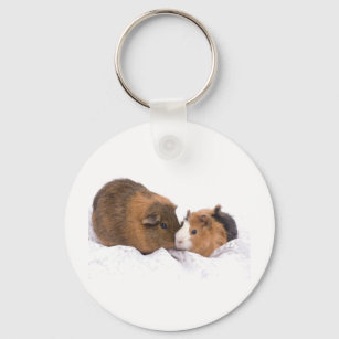 guinea pig keychain