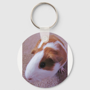 Guinea Pig keychain