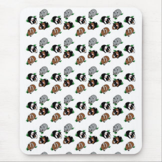Guinea Pig line up Mouse Pad