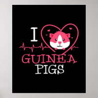 Guinea Pig Love Rodent | Heartbeat Guinea Pig