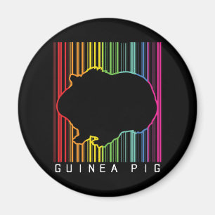Guinea pig magnet