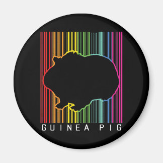 Guinea pig magnet