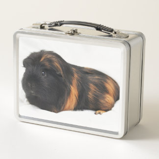 Guinea Pig Metal Lunch Box