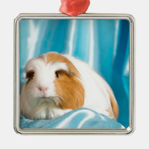 guinea pig metal ornament