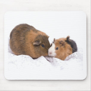 guinea pig mouse pad