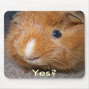 Guinea Pig Mousepad