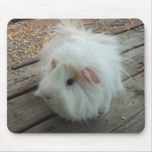 Guinea Pig Mousepad