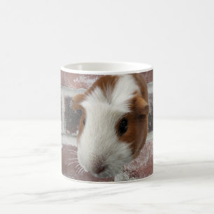 guinea pig Mug
