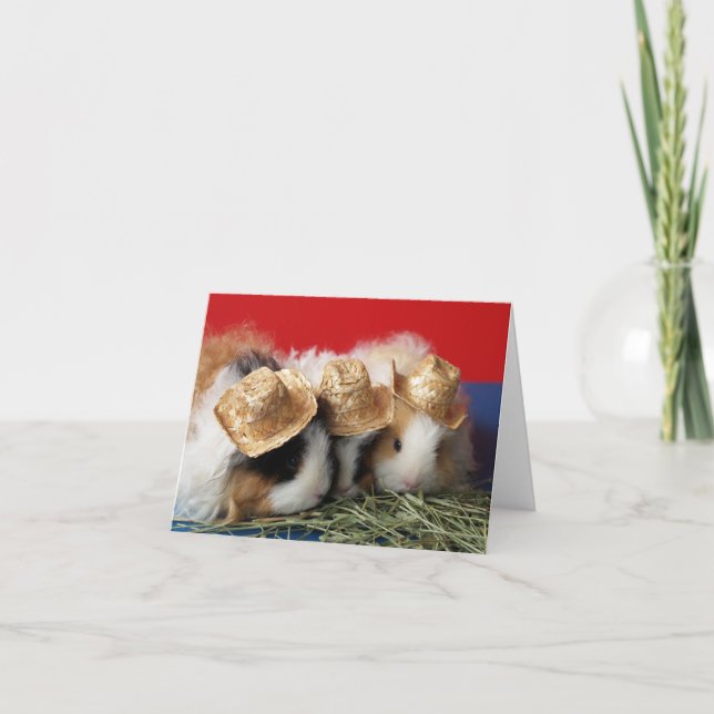 Guinea Pig Note Card (Front)