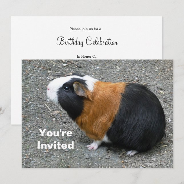 Guinea Pig Photo Birthday Invitation (Front/Back)