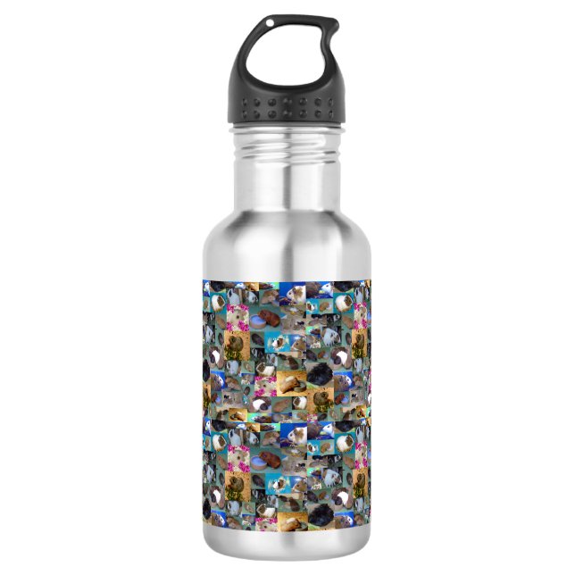 Guinea Pig Photo Collage,   Water Bottle (Front)
