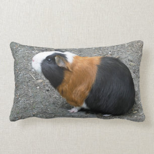 Guinea Pig Photo Lumbar Pillow