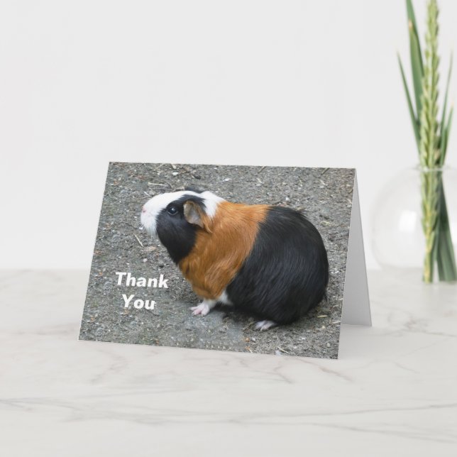 Guinea Pig Photo Thank You Card (Front)